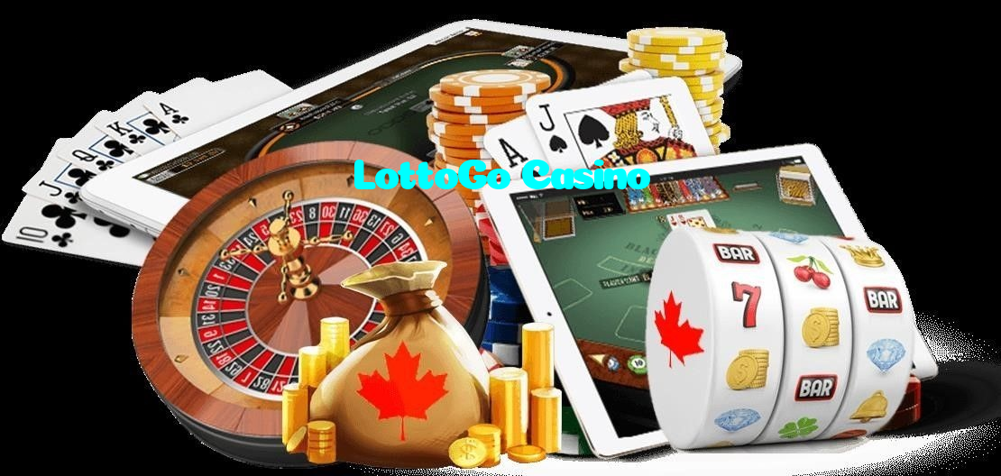 available types of LottoGo Casino bet including pre-match live express and system bets